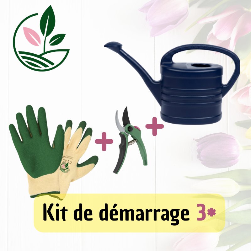 Kit de Démarrage 3*
