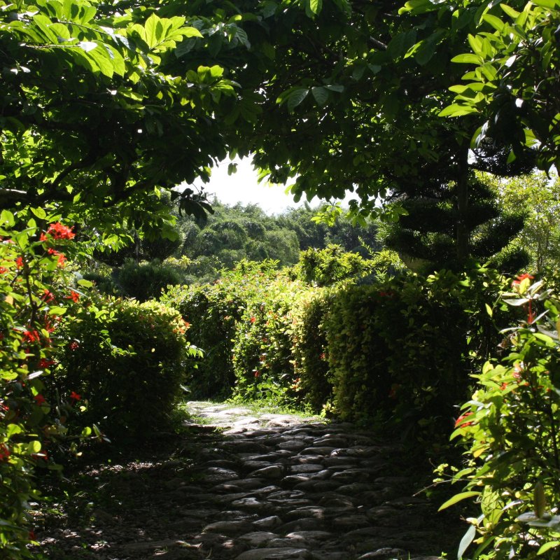Jardin Ombragé