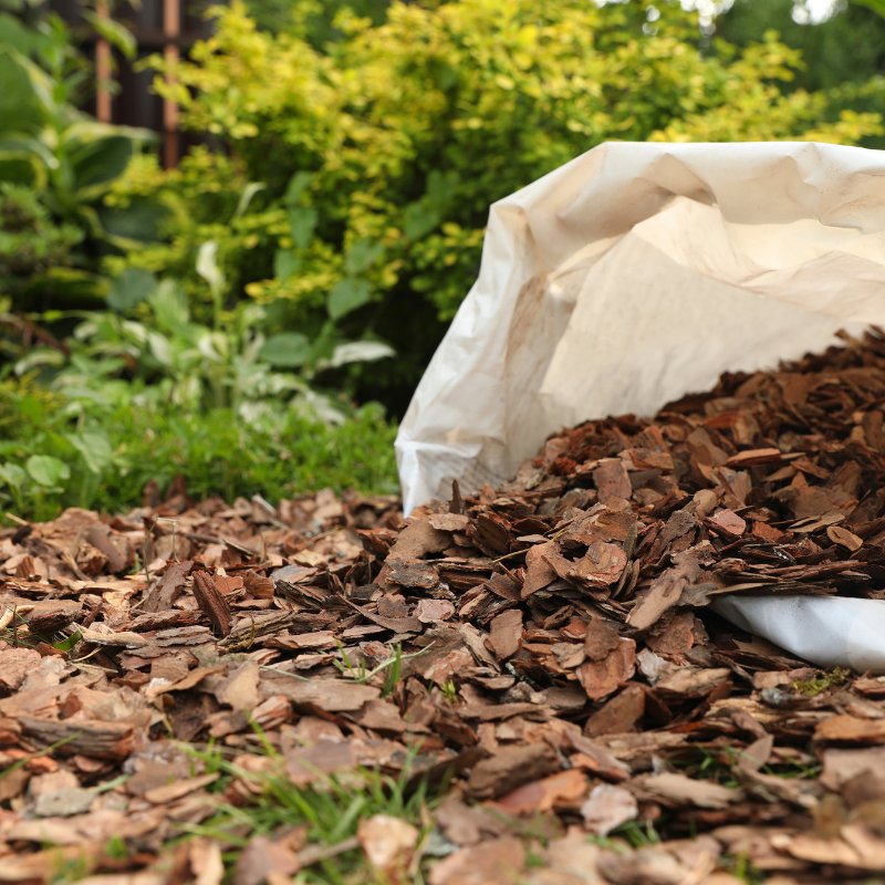 Paillis et Mulching