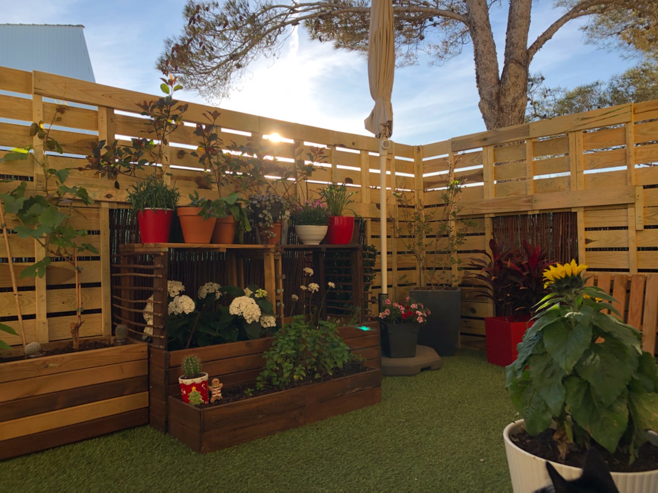 Jardin de Poppy